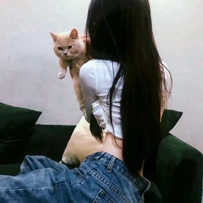 失陷猩球